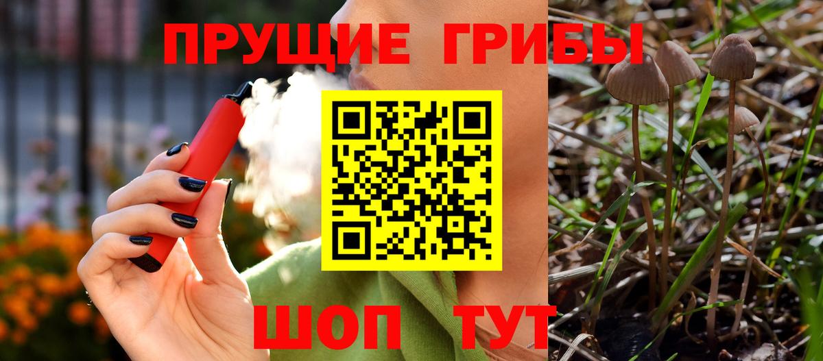 Москва  Галлюциногенные грибы MAGIC MUSHROOMS  Галлюциногенные грибы Psilocybe  Вход с VPN 