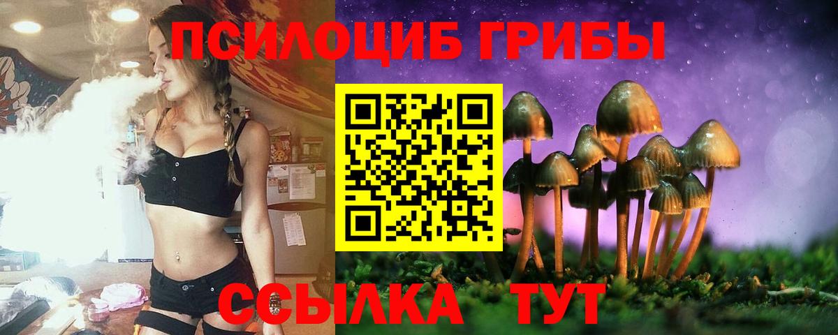 Псилоцибиновые грибы MAGIC MUSHROOMS Москва
